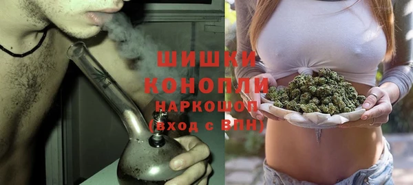 ешки Аркадак