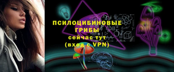 ешки Аркадак
