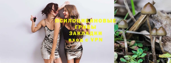 ешки Аркадак