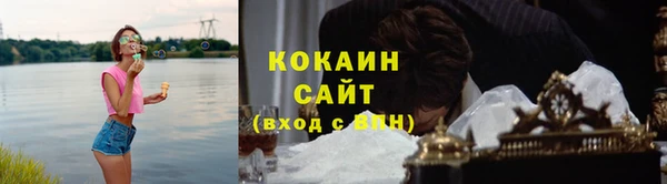 ешки Аркадак
