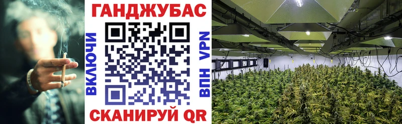 Бошки марихуана тримм  Рассказово 